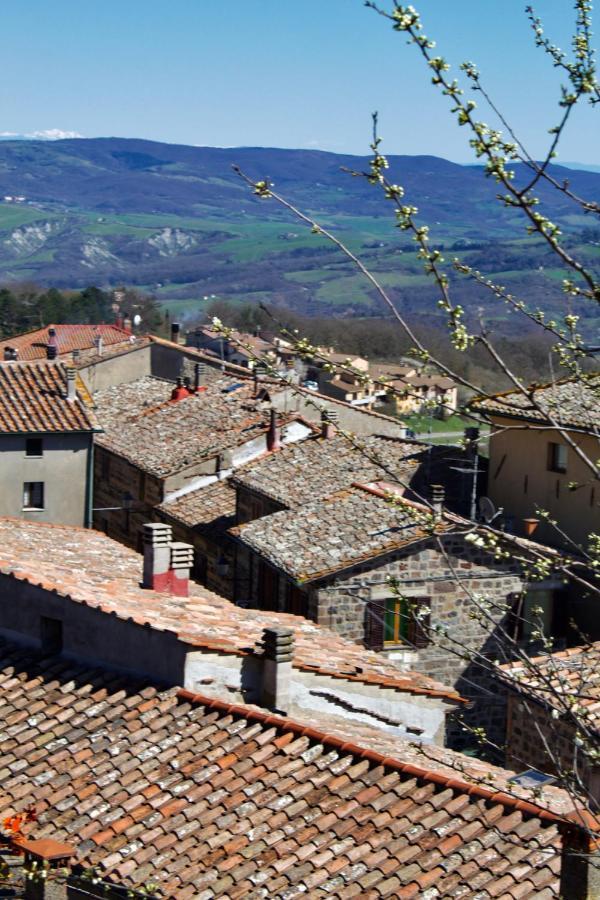 ラディコーファニRifugio Via Francigenaアパートメント エクステリア 写真